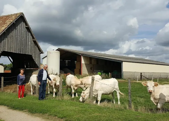 Maison De Plain-pied Avec Jeux, Coin Peche Et Musee Du Velo A Proximite - Fr-1-410-136 別荘 Marolles-les-Braults