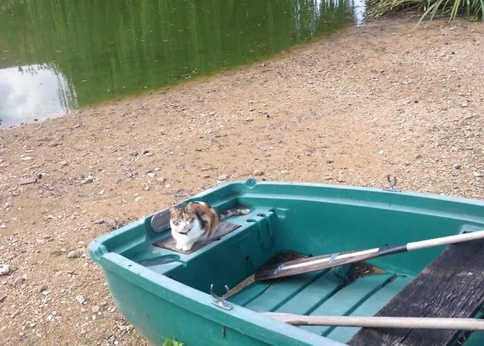 Maison De Plain-pied Avec Jeux, Coin Peche Et Musee Du Velo A Proximite - Fr-1-410-136 別荘 Marolles-les-Braults